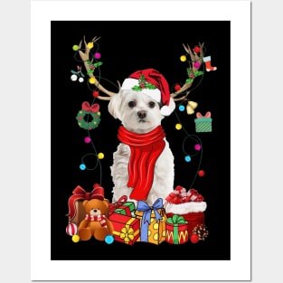 White Maltese Reindeer Santa Christmas Color Lights Posters and Art